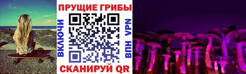 Галлюциногенные грибы Psilocybine cubensis  купить  сайты  Волгореченск 